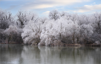 In Wintergrasp / ***