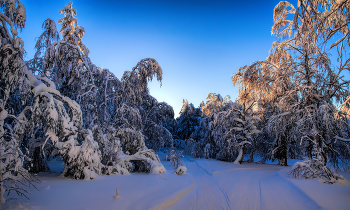 At the crossroads / ***