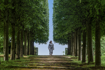 Spring is coming / ***