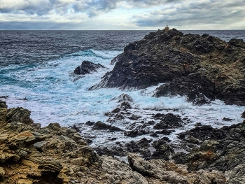 Parc Natural de s'Albufera des Grau - Menorca (Balears) / Parc Natural de s'Albufera des Grau - Menorca (Balears)