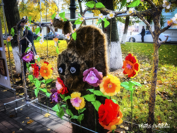 Ab dem 8. März! / ***