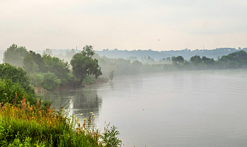Summer morning. / ***
