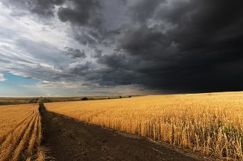 Spiele des Lichts / ***