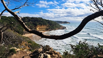 Tarragona - La Mora (Bosc de la Maquesa) - Tarragonès / Tarragona - La Mora (Bosc de la Maquesa) - Tarragonès