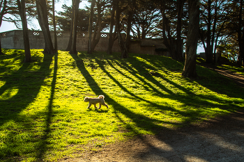 Winter-Skizzen / ......