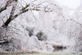 In Wintergrasp / ***