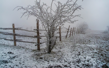 Frosty evening / ***