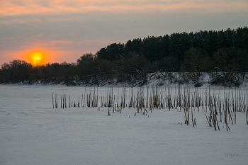 Winterdämmerung. / ***