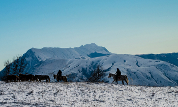 at the end of winter / ***