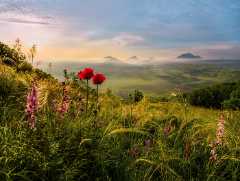 The smell of spring / ***
