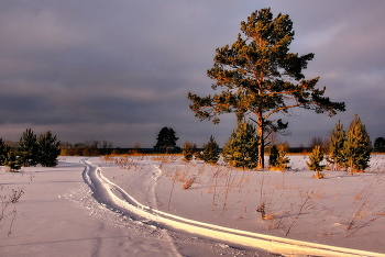 Winter evening. / ***