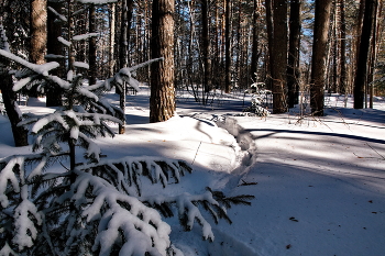 Winter-Etüde. / ***