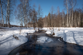 Der Frühling kommt / ***