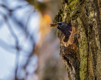 Spring-cleaning / ***