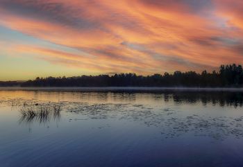 Fog dissipates / ***