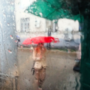 till the cows come home / ***