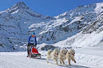 Die Drei / Sledgedog Race
