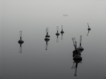 Beißen nicht. / ***