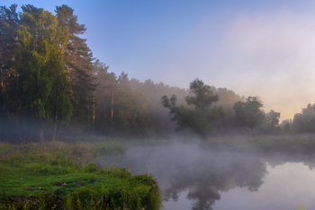 Violence of Summer / ***