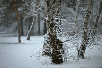 Fog dissipates / ***