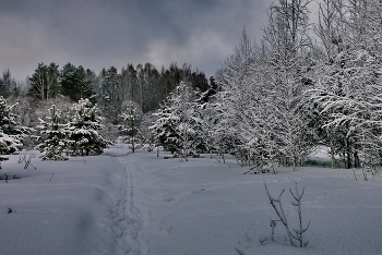 *** Cold morning with a light mist. / ***