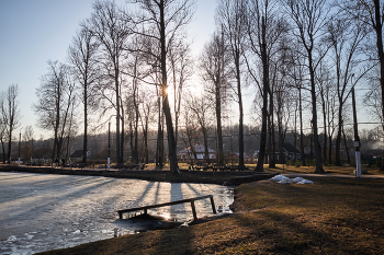 Spring in the park / ***