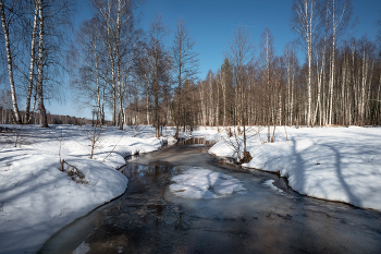 Der Frühling kommt / ***