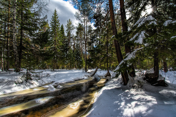 Frühlingslandschaft / ***