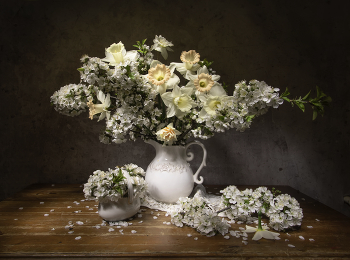 Die Zärtlichkeit des Frühlings / ***