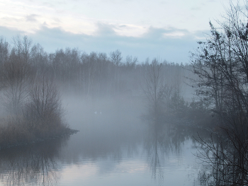 Frühlingserwachen / ***
