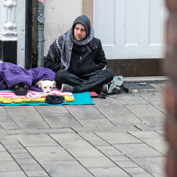 Ein Hundeleben / ***