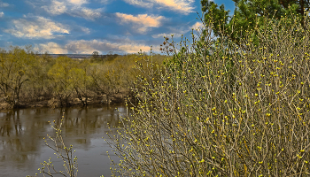 Der Hauch von Frühling. / ***
