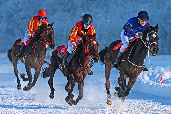 Winter - Galopp / Horse gallop
