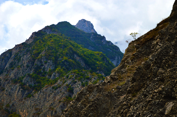 Mounts of Ossetia / ***