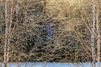 Der Geruch von Frühling / ***
