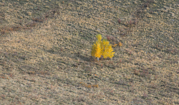 Autumn loneliness / ***
