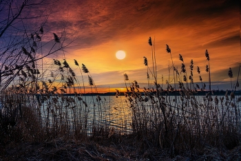 Abend auf dem See. / ***