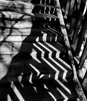 Schatten / ***