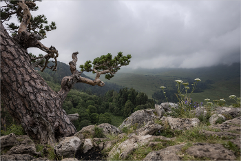 Unter einem Schleier der Wolken / ***