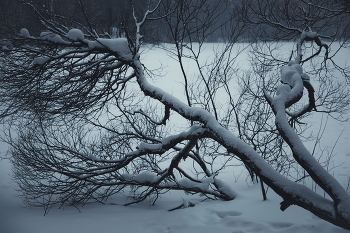 Februar / No comments.