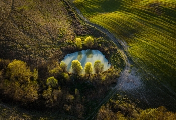 Whispers of Spring / ***