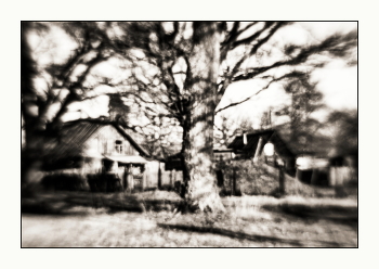 The smell of spring / ***