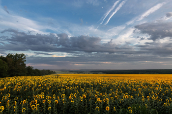 Nicht weit weg / ***