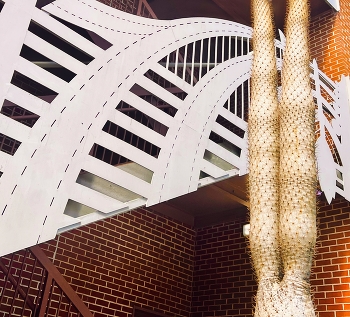 Twin palm trees / The trunks of the two palm trees growing in front of the parking building
