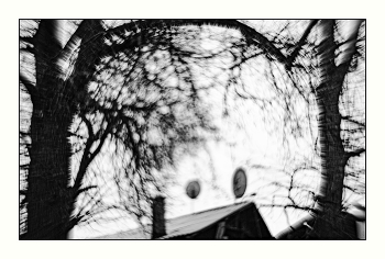 The smell of spring / ***