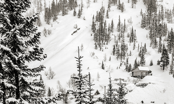 House by the River / ***