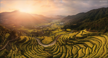 place in the sun / ***