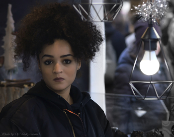 Principessa del Gelato / ***