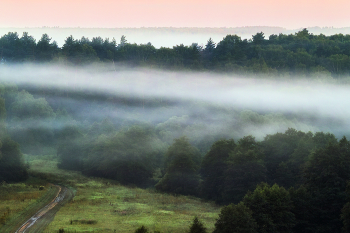 On a forest road / ***