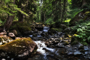 Mountain stream. / ***